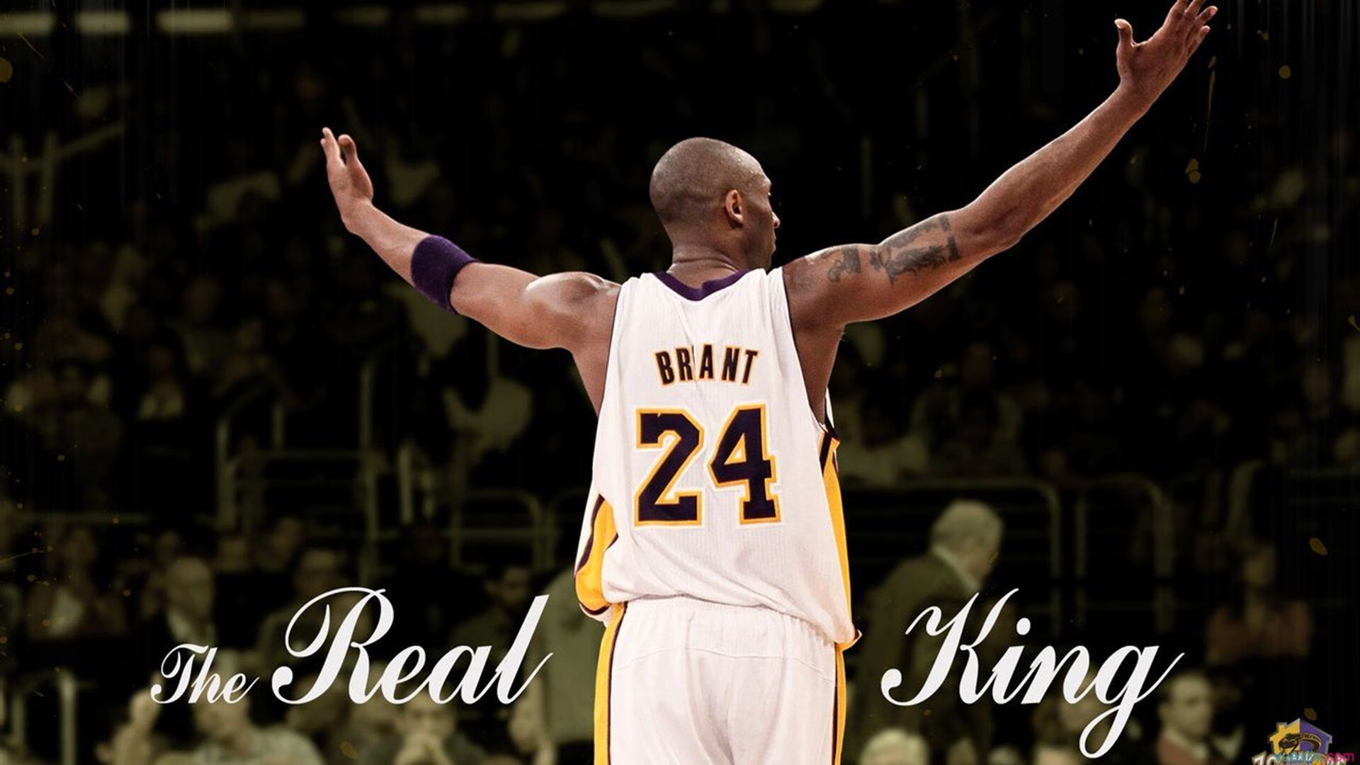 开云品牌-史上最年轻冠军出炉，刷新纪录，史上最年轻mvp